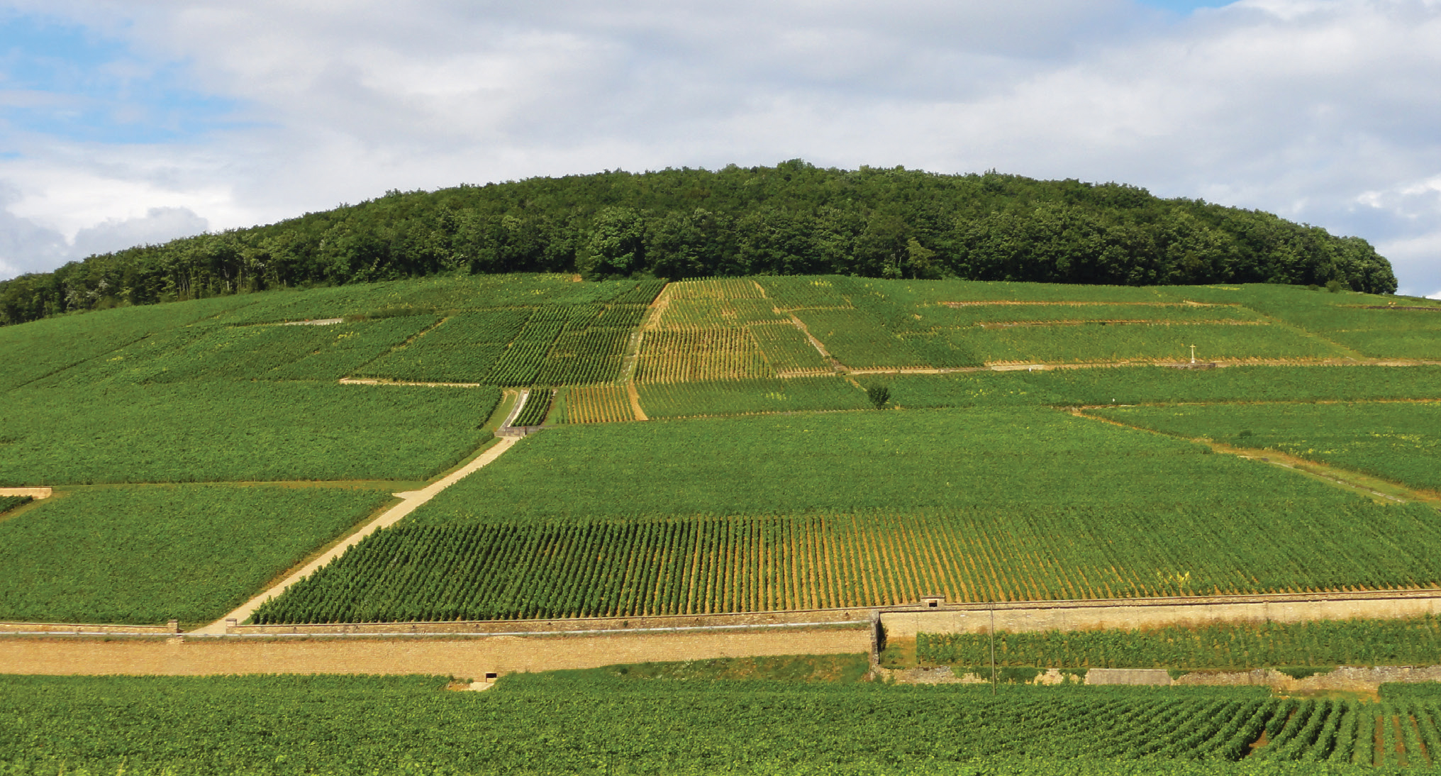 Hill of Corton