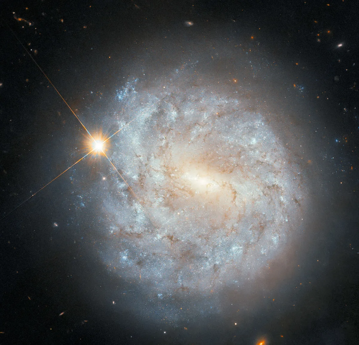 Hubble Discoveries: Spiral Galaxy NGC 4900 Shines in 20-Year Time-Lapse Study