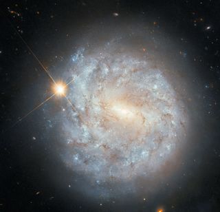 a spiral galaxy and a bright star appear to overlap in this Hubble Space Telescope image