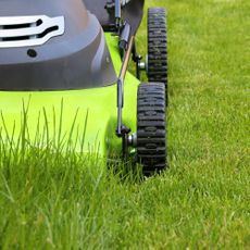 Green electric lawn mower