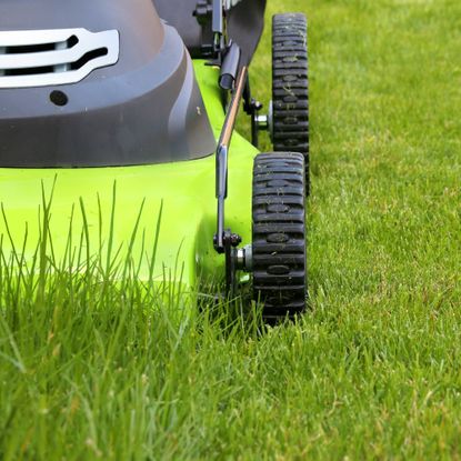 Green electric lawn mower