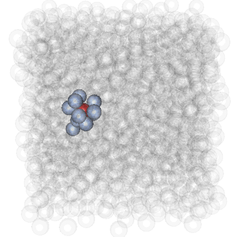 Communication in a viscous liquid. We have shown that the red molecule communicates only with a select group of neighbours (shown in blue). Other transparent molecules are "excluded" from the "conversation."