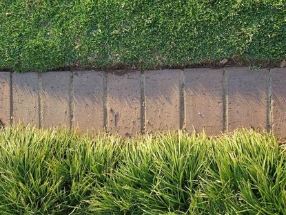 Bricks Along Edged Lawn