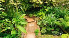 Small garden pond in an exotic garden in Plymouth, UK, surrounded by large leaved foliage plants