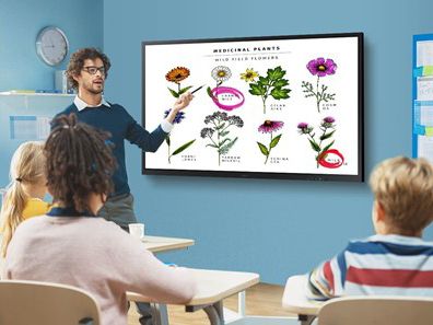 Samsung Electronics America Inc. Samsung Flip 2 Interactive Whiteboard, WM55R