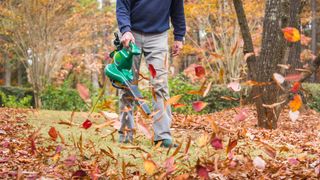 Man using a leaf blower outdoors
