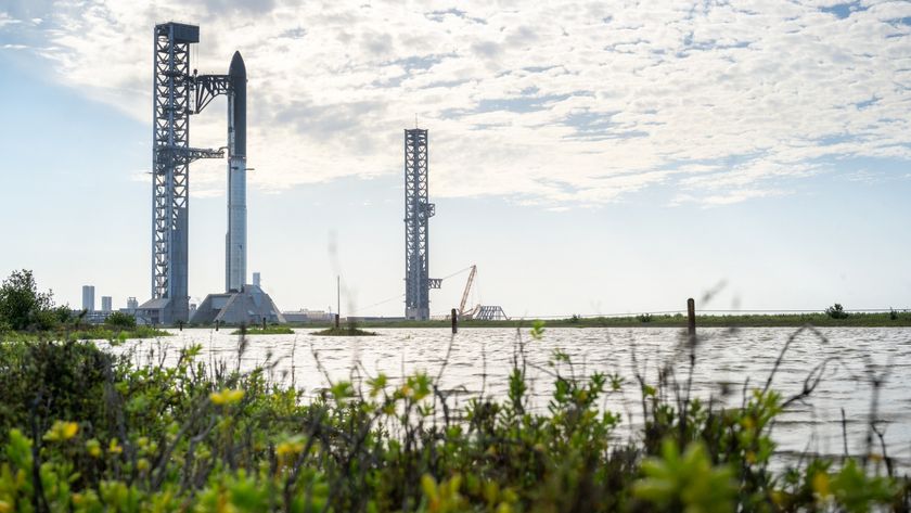 behind a foreground of wildflowers, two massive silver rockets stand upright next to towers of scaffolding