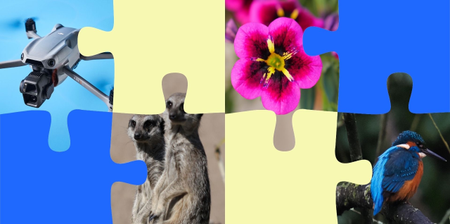 A photo showing Tom's Guide jigsaw puzzles, with four images in different puzzle pieces