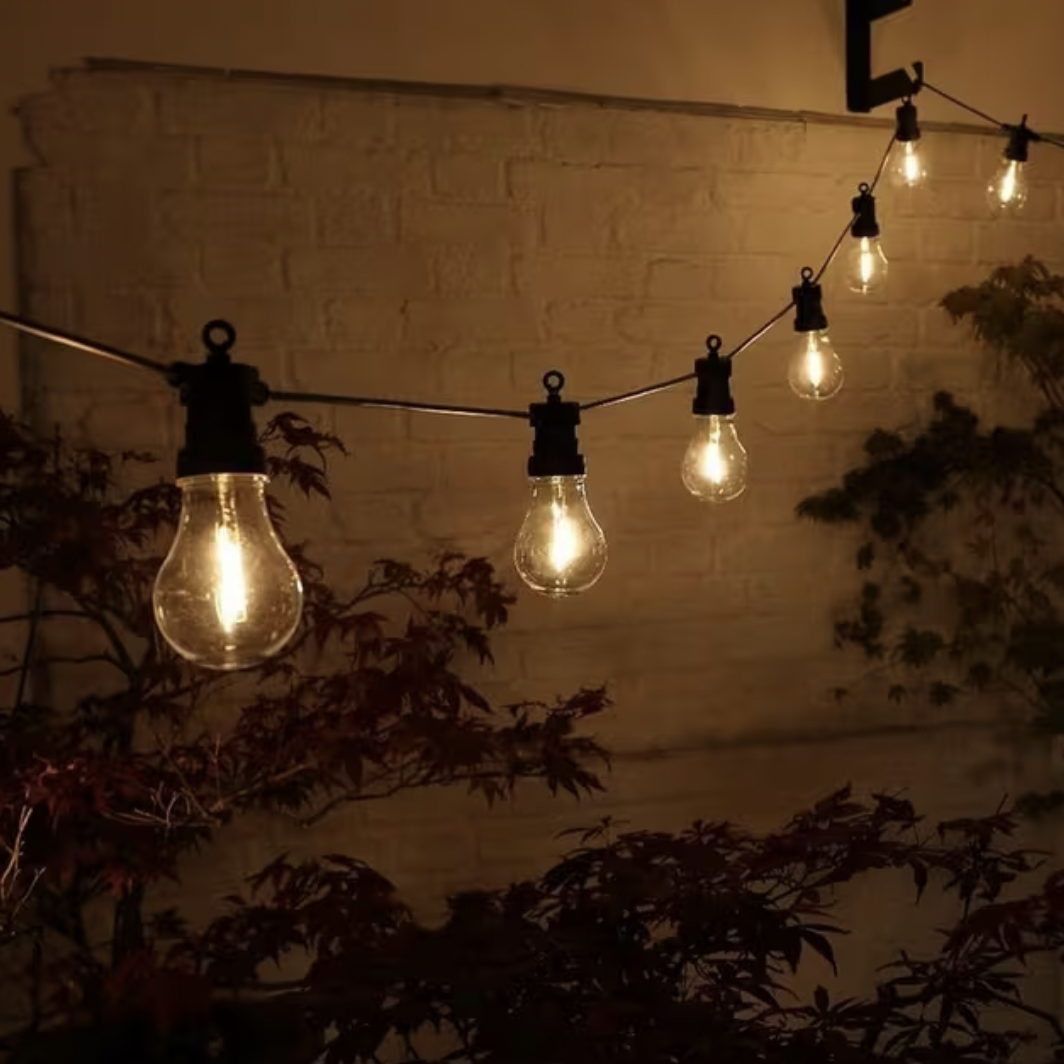 Fairy lights strung across the garden fence