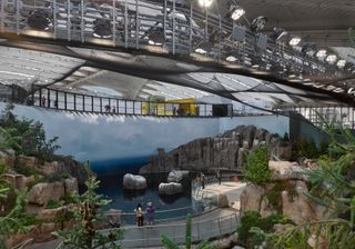 Montreal Biodome's internal forest experience, with a surrounding viewing gallery, bridge with visitors standing lookign onto the water and rocks, with surrounding rocks and greenery, overlooked by a layer design ceiling