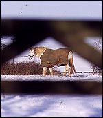 ECDCE61B-DCB3-44E0-BA7B-E0310861F4A5.jpg