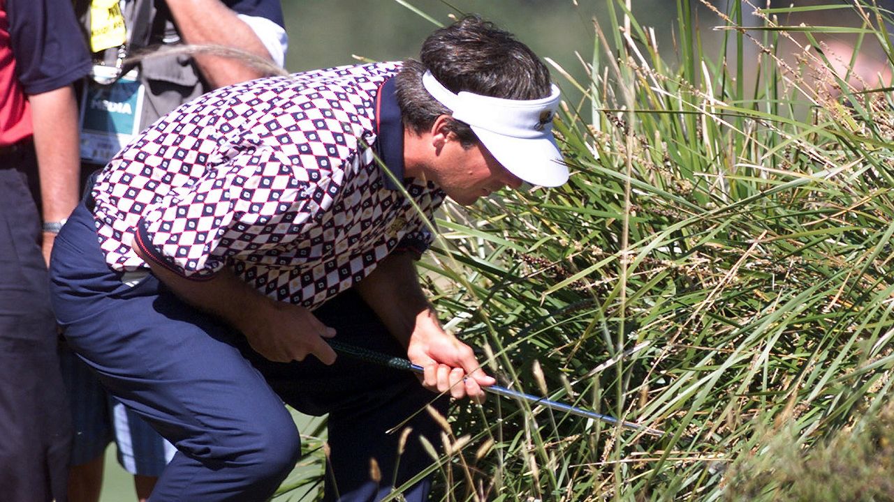 Fred Couples looking in a bush