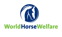 World_Horse_Welfare_nostrap.jpeg