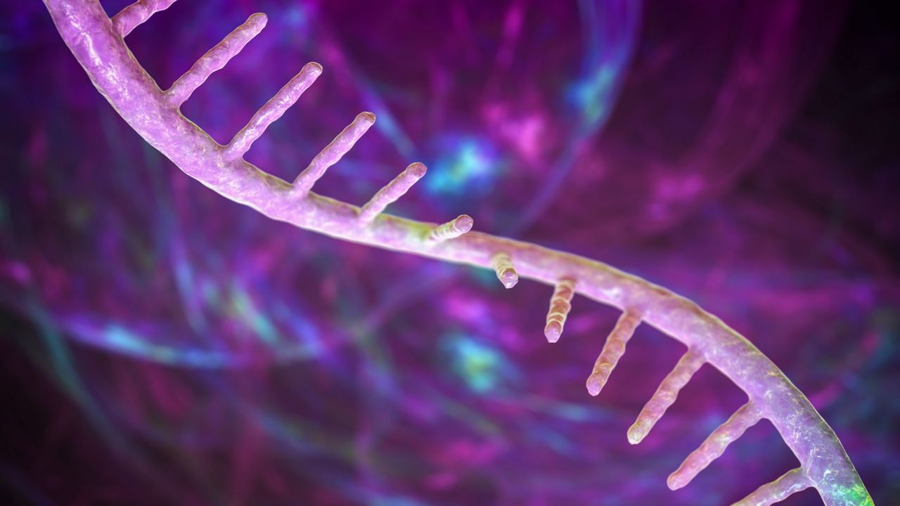  FDAs approval of new mRNA vaccine does not necessarily signal the governments embrace of the technology, experts say 
