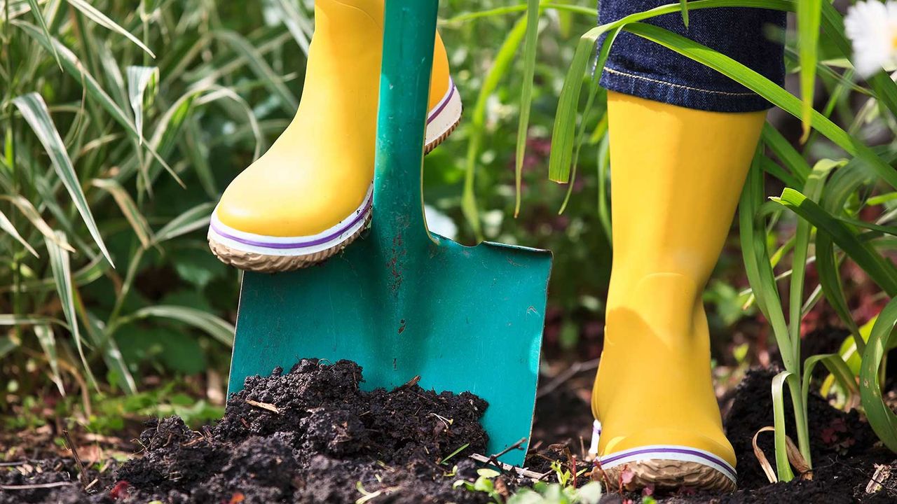 digging in garden