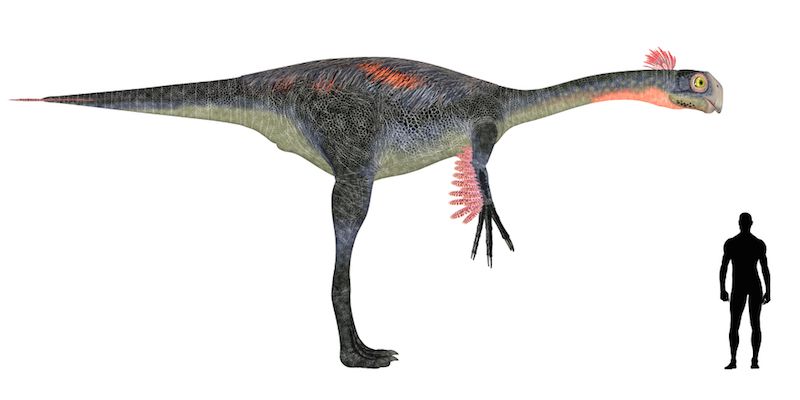 Gigantoraptor