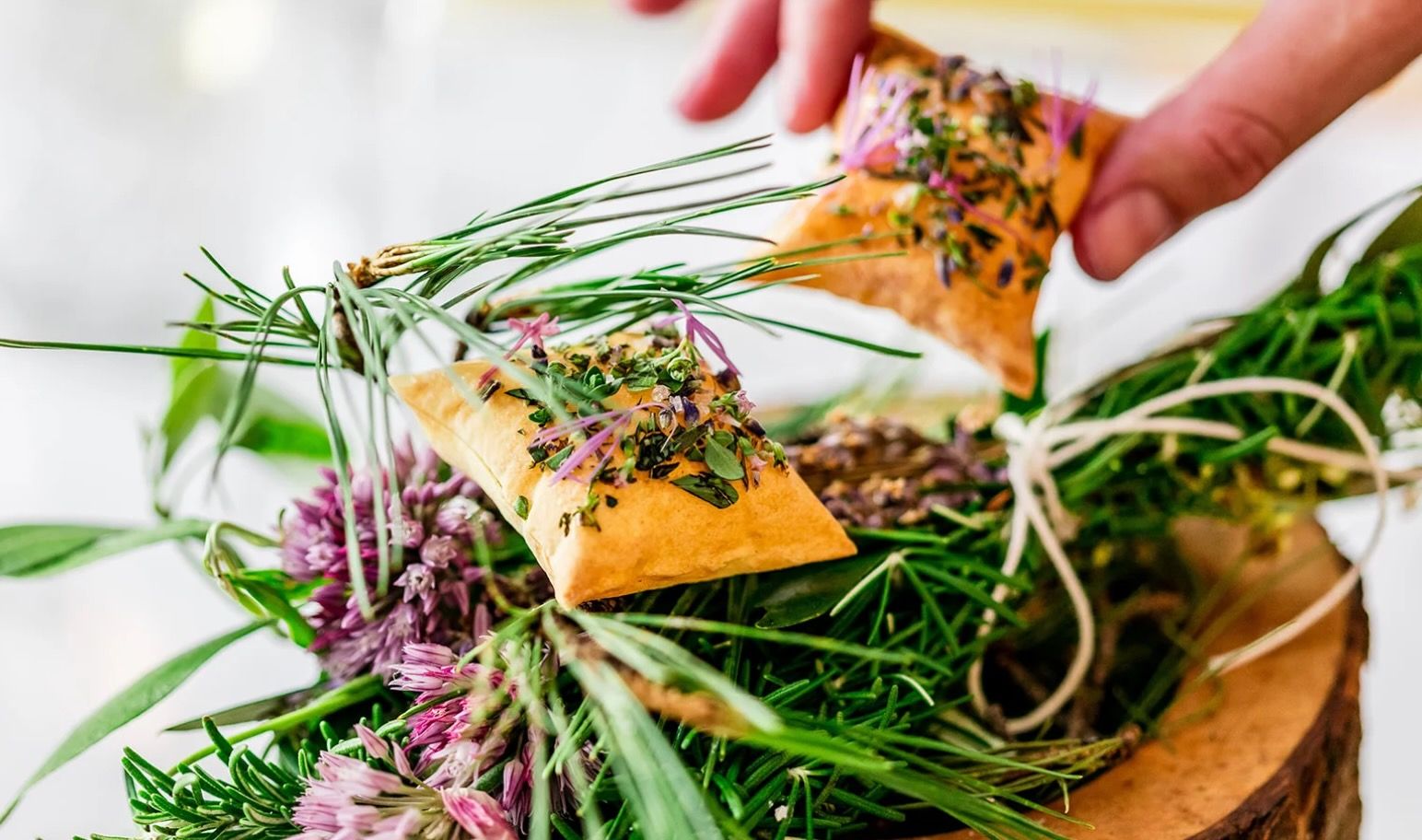 Plate of food from Les Agitateurs, Nice