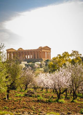 Agrigento’s Valley of the Temples in Sicily