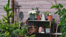 Potting bench in front of garden shed