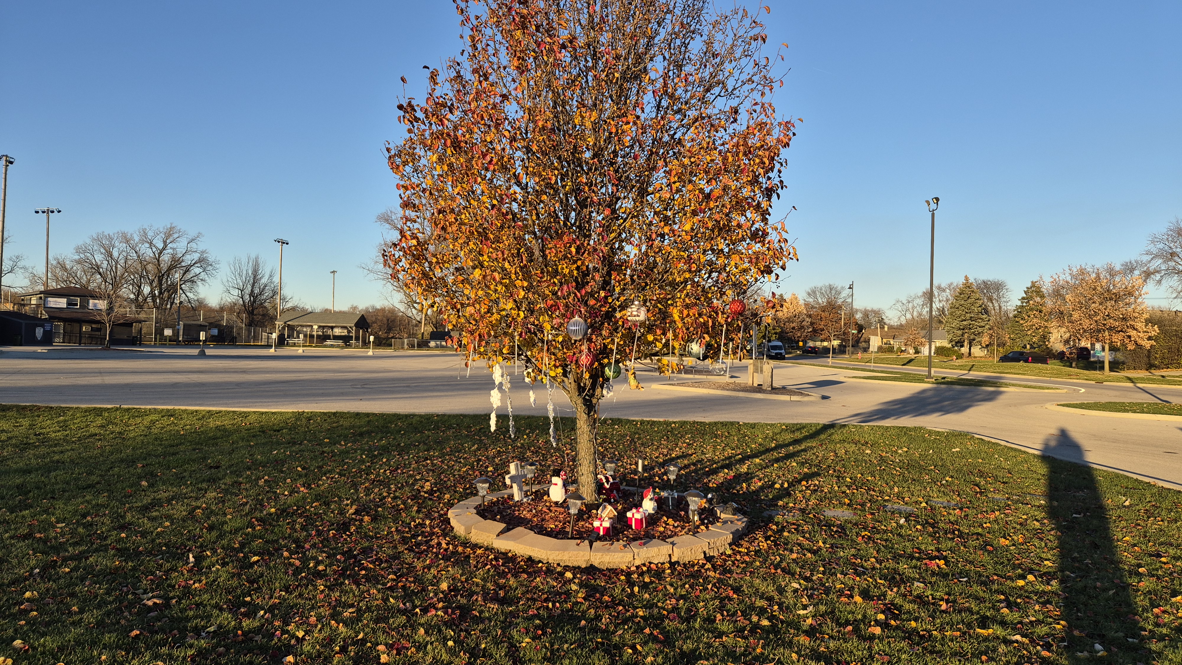 Camera image samples taken with the Samsung Galaxy Z Flip 7 FE