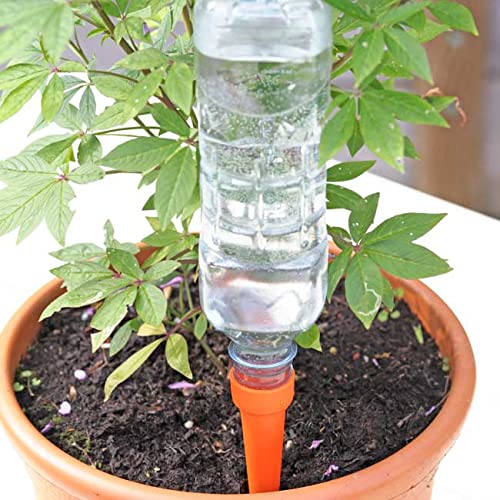 Easylife Lifestyle Solutions Automatic Watering Spikes | Slow-Drip Delivers Water Deep Into the Soil | Add Fertiliser or Plant Food | for Tender Leaf Plants | L15xdia3cm Pack of 8