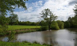 Dickhurst Farm ponds