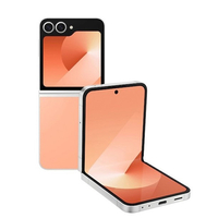 Samsung Galaxy Z Flip 6 (512GB)