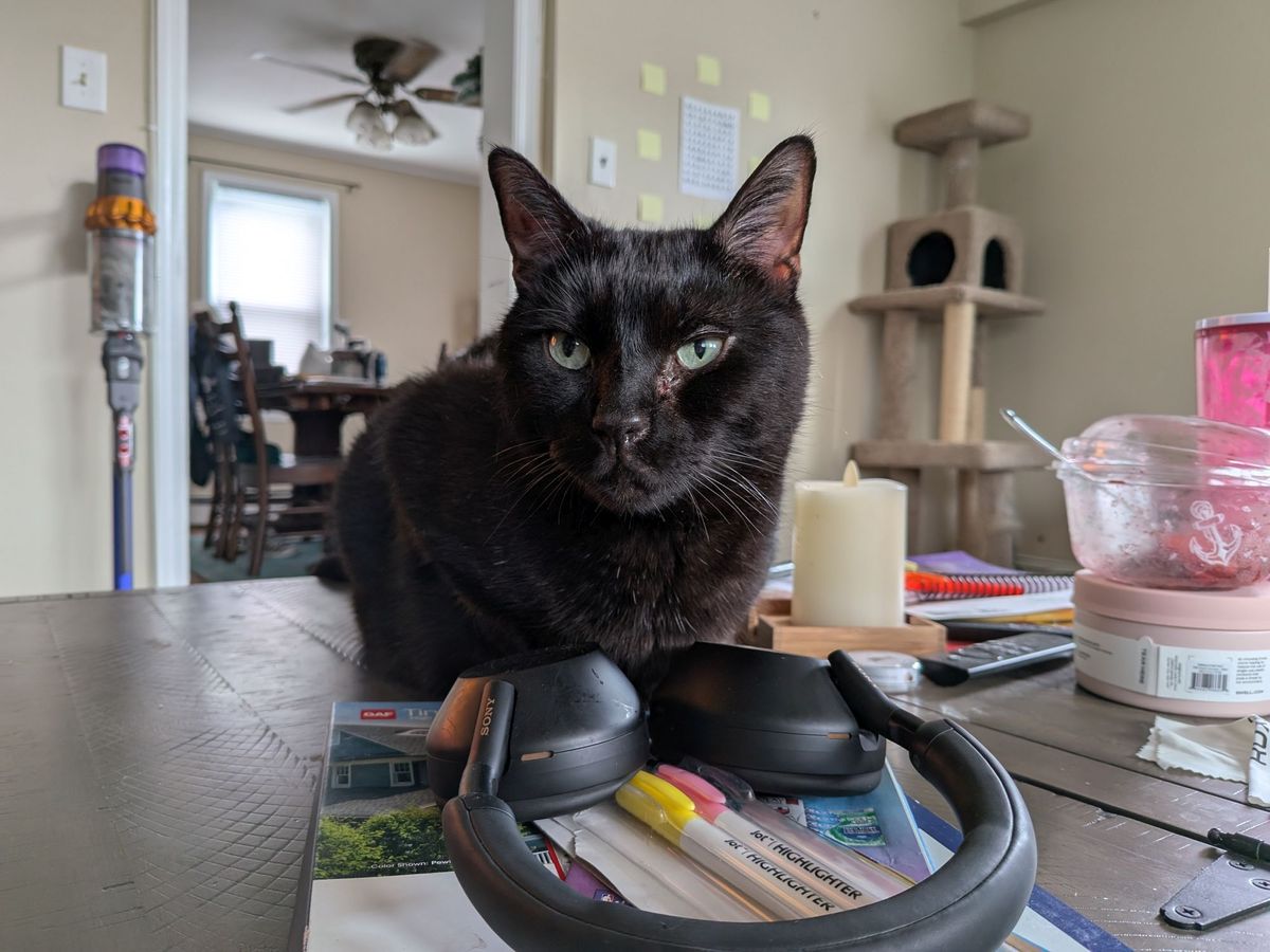 Apple iOS 27 Clean Up vs Samsung Galaxy AI Photo Assist - original.
