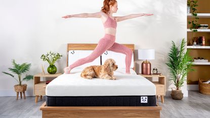 Panda sleep bedroom with someone doing yoga on the bed