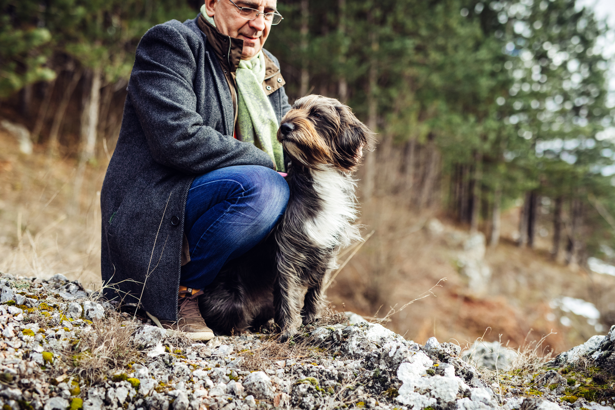 7. They have a furry or feathered friend