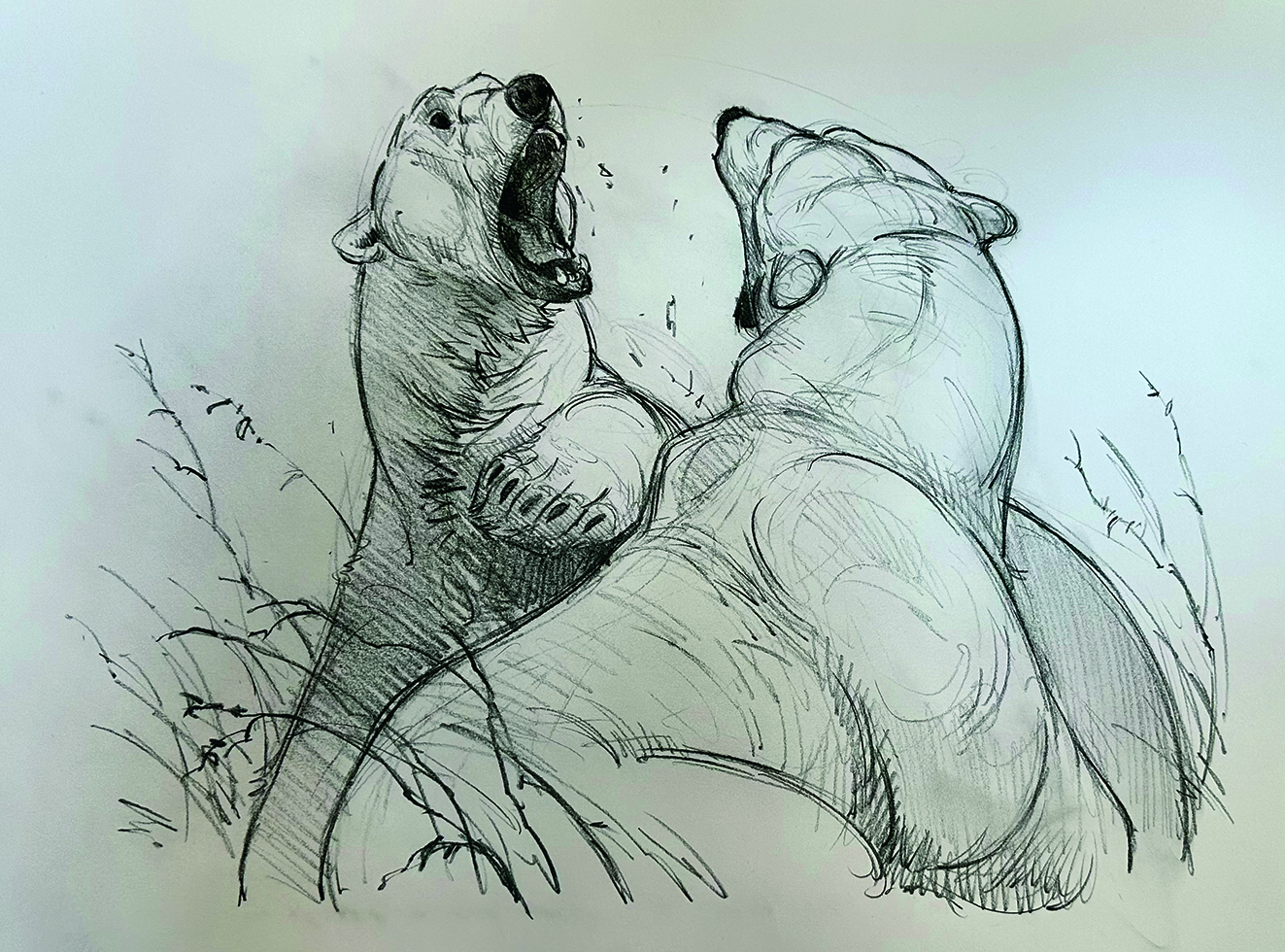 Images from Aaron Blaise's art studio