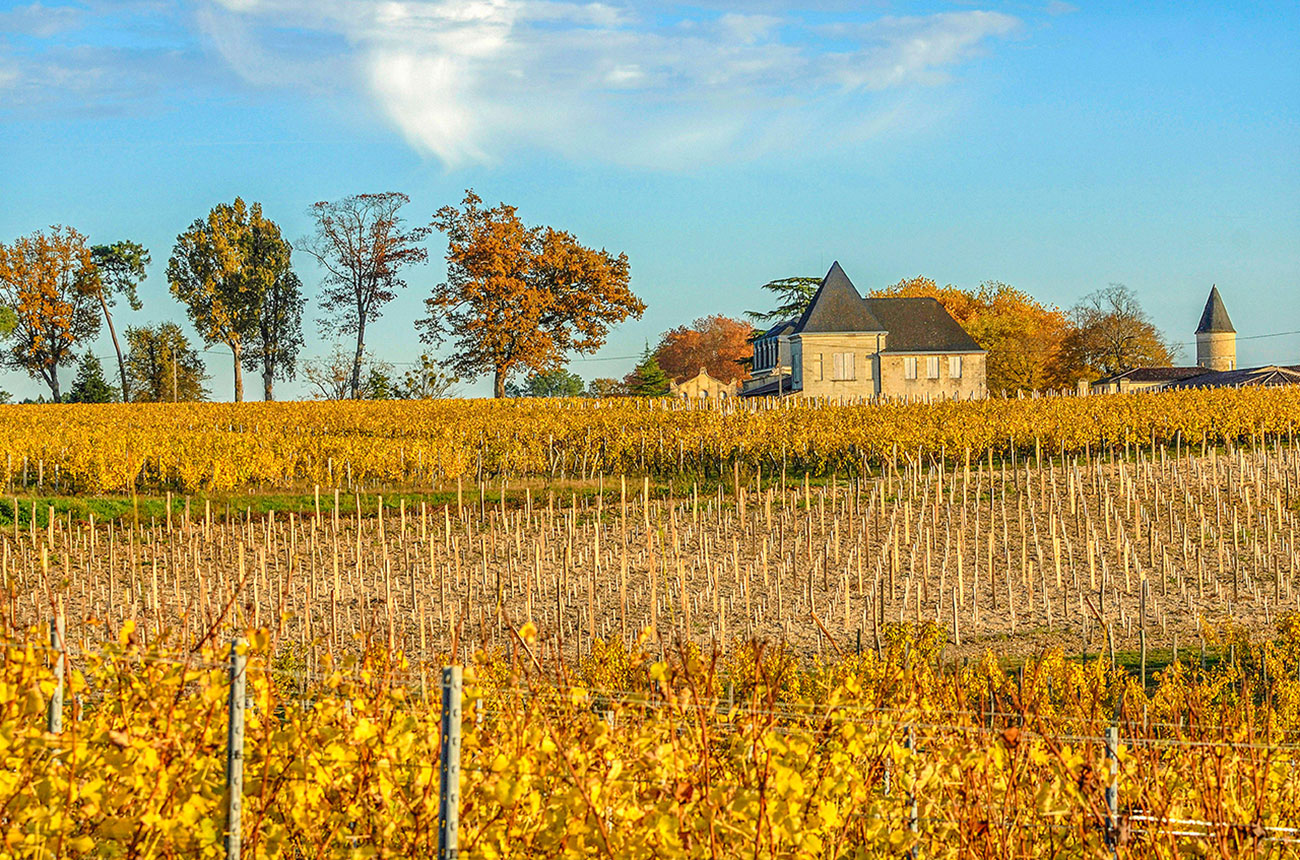 Ch&acirc;teau Guiraud in 2016; the estate got a new majority owner in 2021