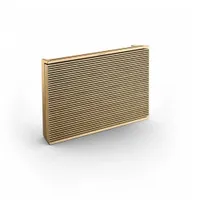 Bang &amp; Olufsen Beosound Level