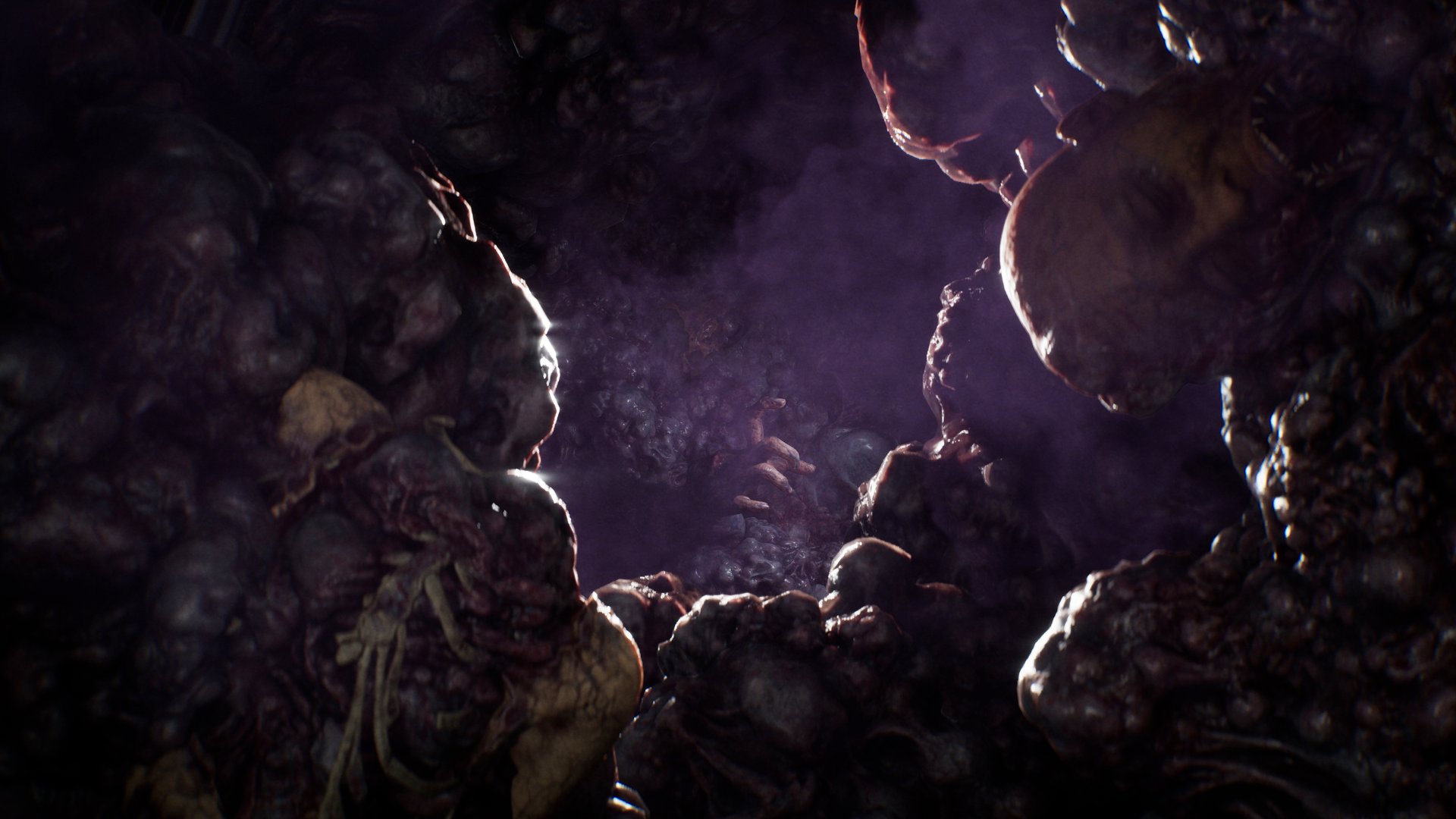 The infection