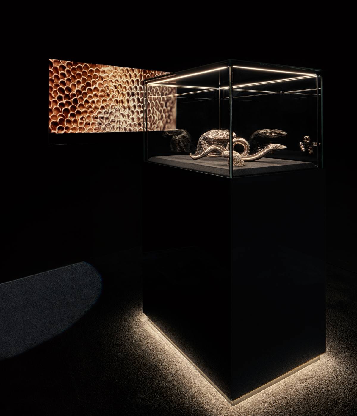 exhiiton imagery
