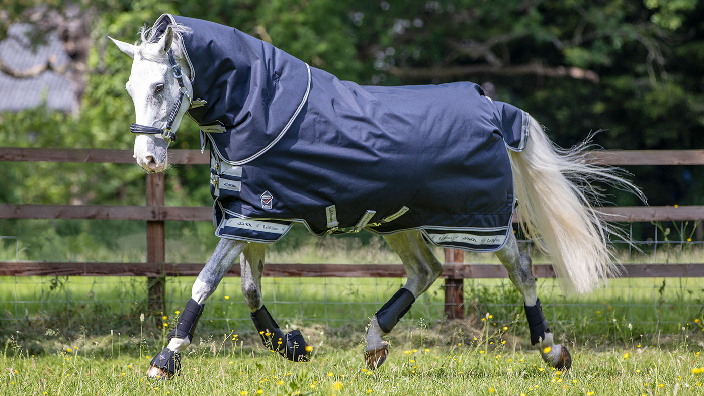 LeMieux Arika Storm-Tek lightweight turnout rug