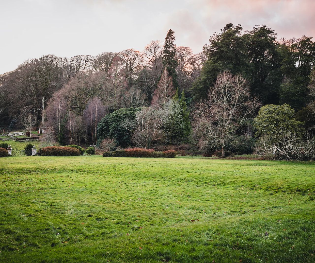 A long garden lawn leading to a forest