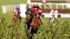 Tiger Roll retired Keith Donoghue riding Tiger Roll (PA)