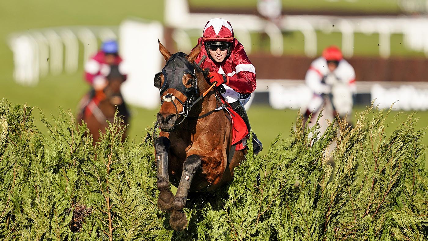 Tiger Roll retired Keith Donoghue riding Tiger Roll (PA)