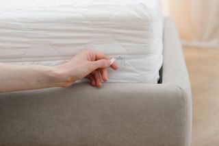 Cropped view of woman hand is holding zipper or opened fastener, changing protective cover on the mattress