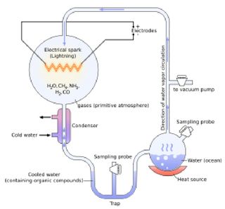 a diagram of the Miller-Urey experiment