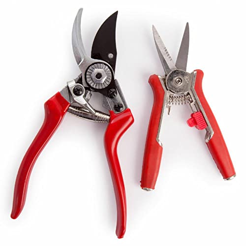Spear &amp;amp; Jackson Cuttingset6 Bypass Secateurs and Floral Snips Set (twin Set)