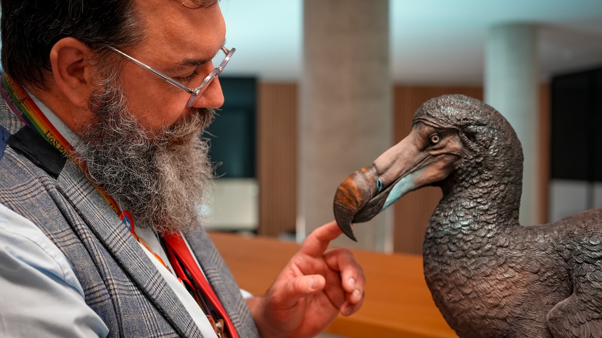 A man touches the beak of a dodo sculpture