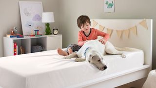 A little boy and his white dog sit on a kids mattress covered with a white Tuft & Needle mattress protector