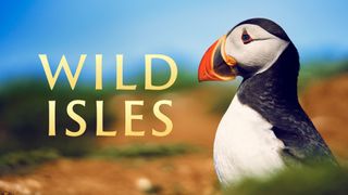 Wild Isles BBC documentary series