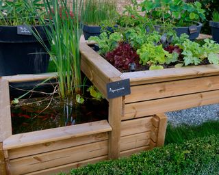 raised bed with water basin