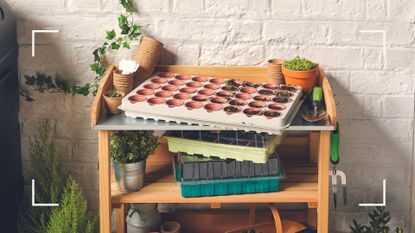 picture of a potting table with gardening tools to support the new Aldi gardening range 'Grow your own' 