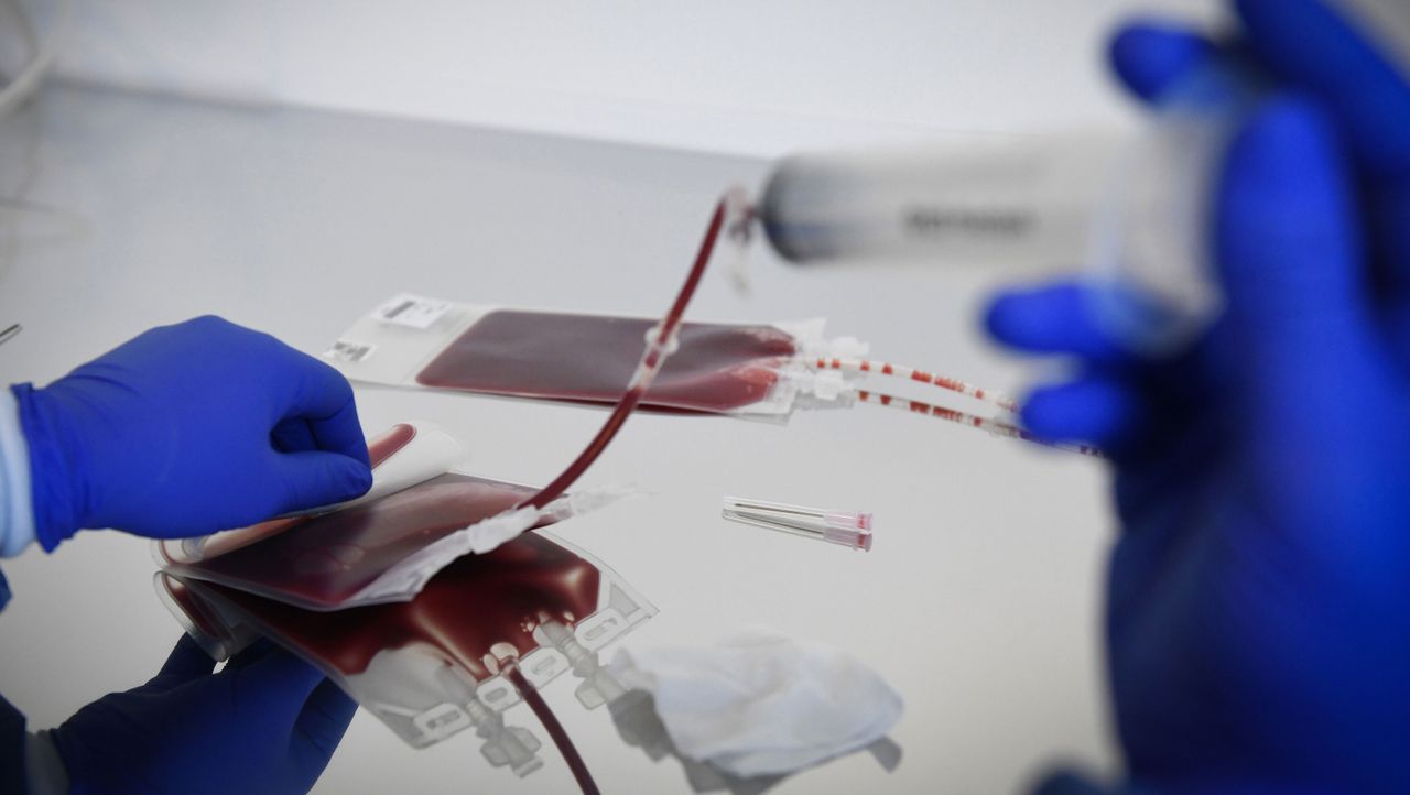 Blood samples in a laboratory