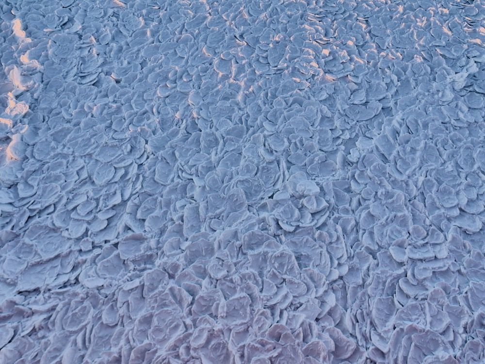 Dragon skin occurs when strong winds continually lift surface ice, subsequently freezing the water below.