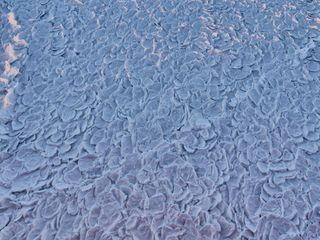 Dragon skin occurs when strong winds continually lift surface ice, subsequently freezing the water below.